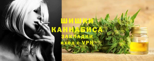 гидра Костерёво