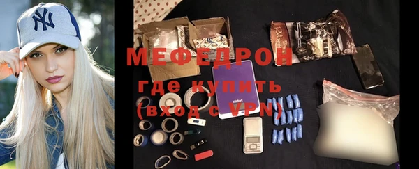 сатива Козловка